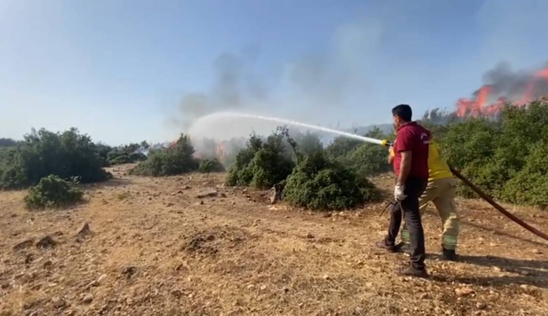 Kahramanmaraş'taki orman yangını kontrol altına alındı 9